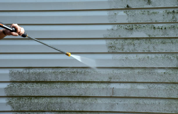 Best Pressure Washing Driveway  in Pocomoke City, MD