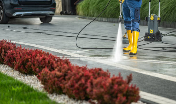 Best Roof Power Washing Services  in Pocomoke City, MD