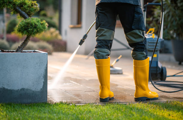 Best Pressure Washing Siding  in Pocomoke City, MD